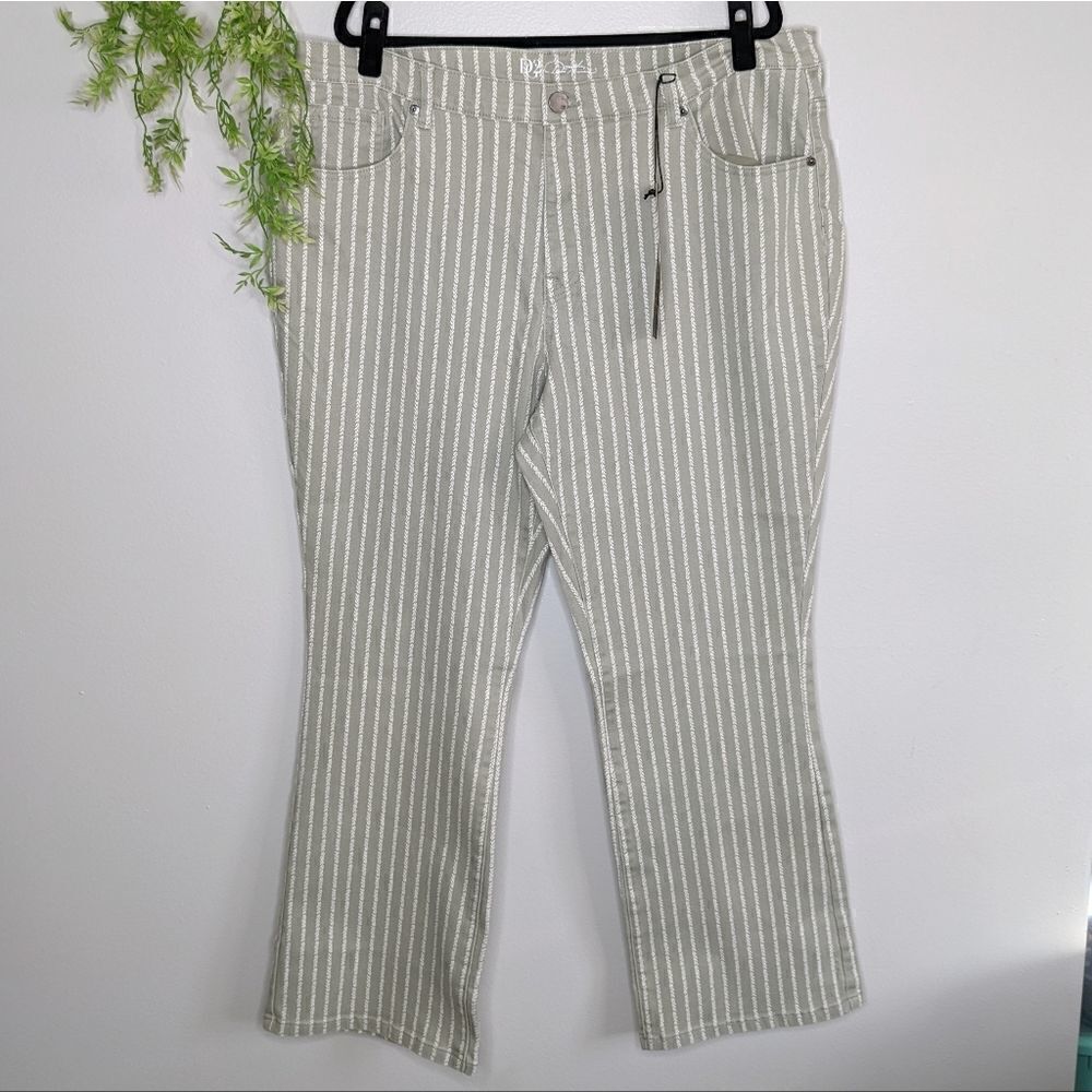 (DG2) Plus Size Diane Gilman Striped Jeans Gray Green Straight 22W